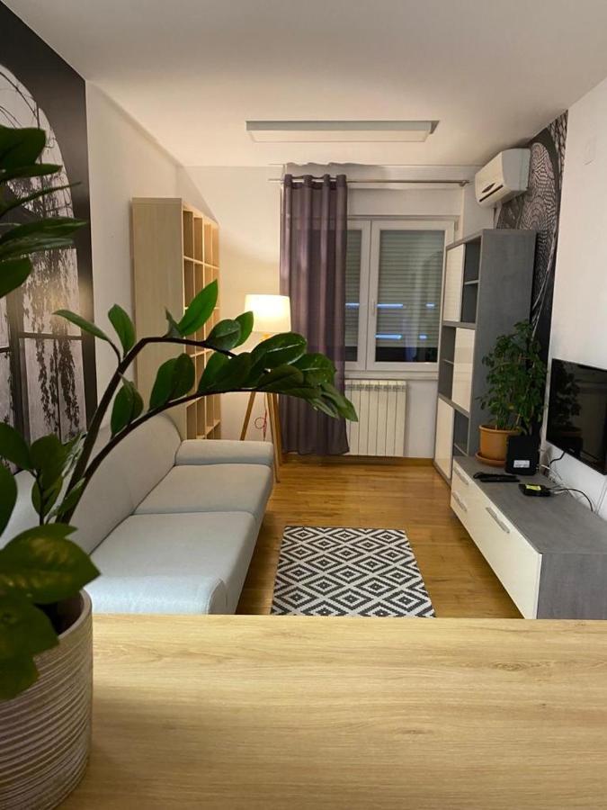 Benvenuti Apartments Beograd Eksteriør bilde