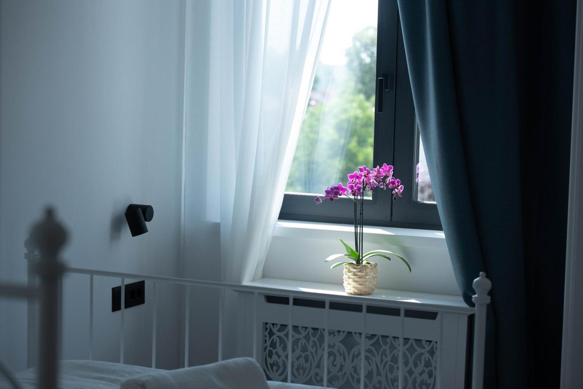Benvenuti Apartments Beograd Eksteriør bilde